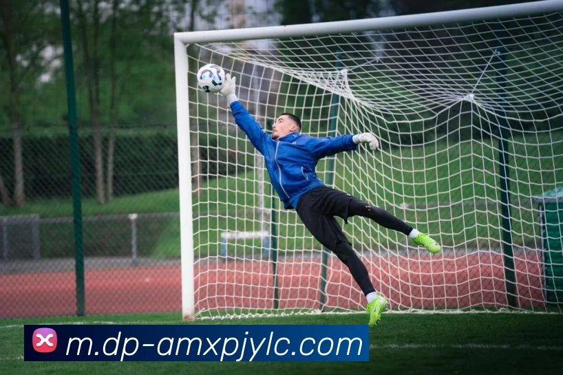 新葡京娱乐APP 封面图